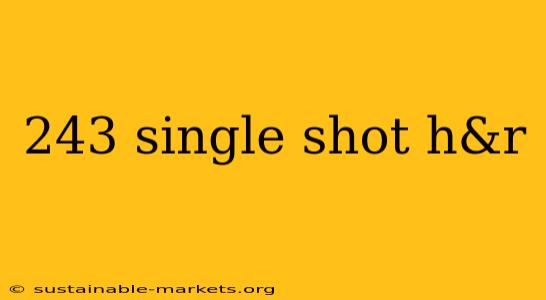 243 single shot h&r