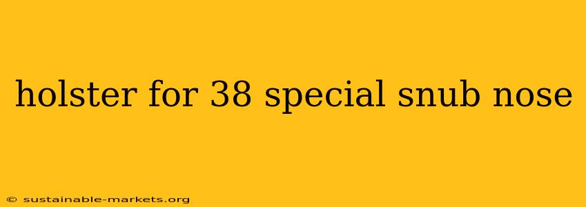holster for 38 special snub nose
